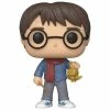 Funko Funko Items Harry Potter Holiday - Harry Potter (2020) POP! Vinyl Figure